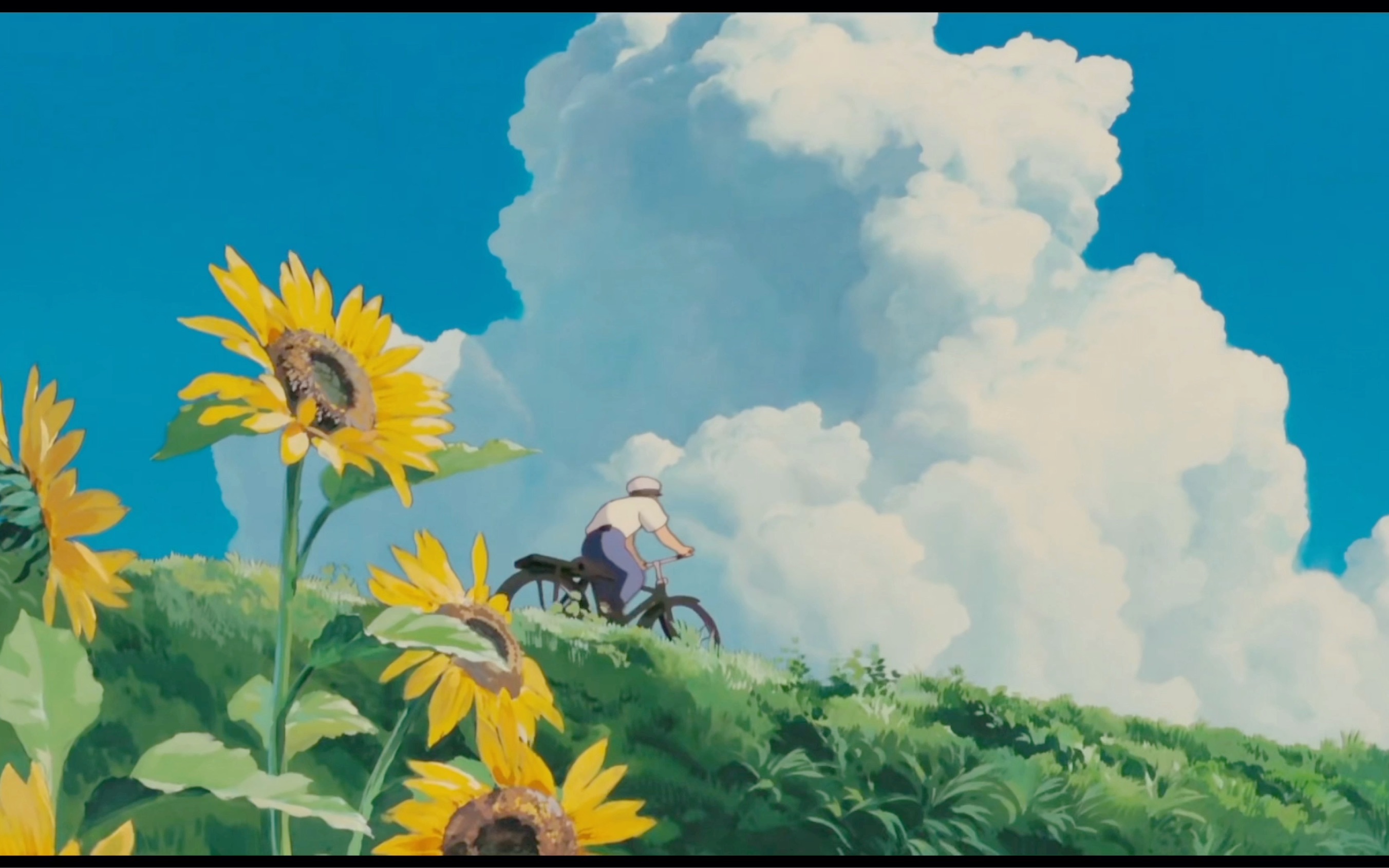 愿我们未来的生活,如宫崎骏动漫里的那般美好