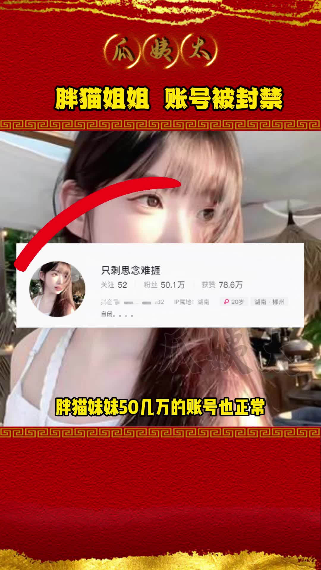 就在刚刚,胖猫姐姐某音账号被封禁哔哩哔哩bilibili