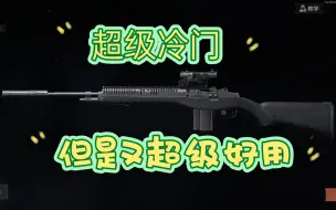 Download Video: 暗区突围超冷门好用武器推荐M14卡宾枪