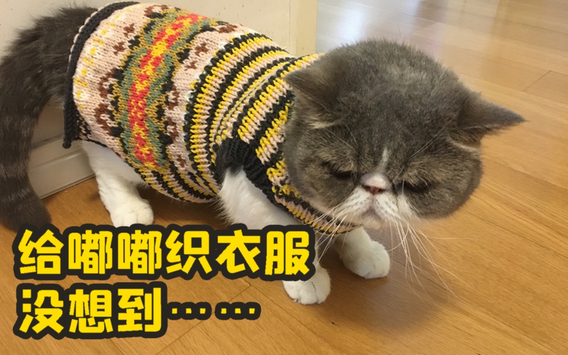 【棒针猫咪衣服】diy猫咪衣服全过程提花双手带线左手带线教程哔哩哔哩bilibili