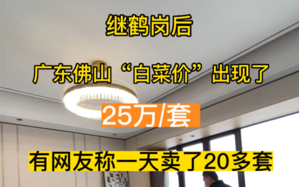 继鹤岗后,广东佛山白菜价的房产出现了,25万就能拥有一个自己的家.刚开年每天客户源源不断哔哩哔哩bilibili