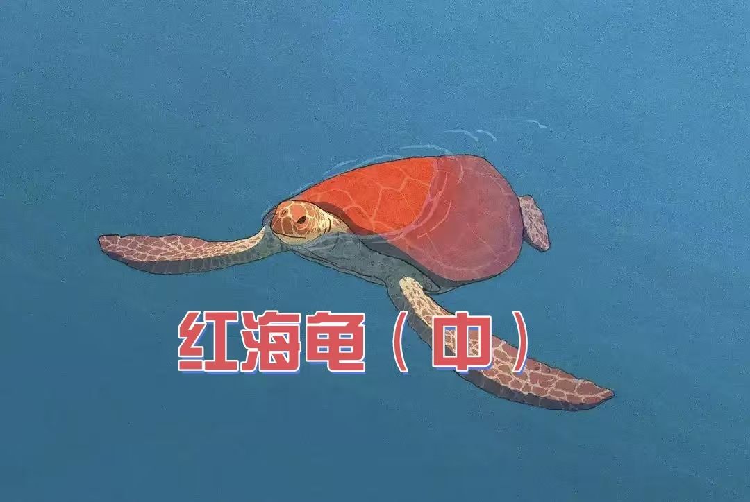 吉卜力2016-红海龟