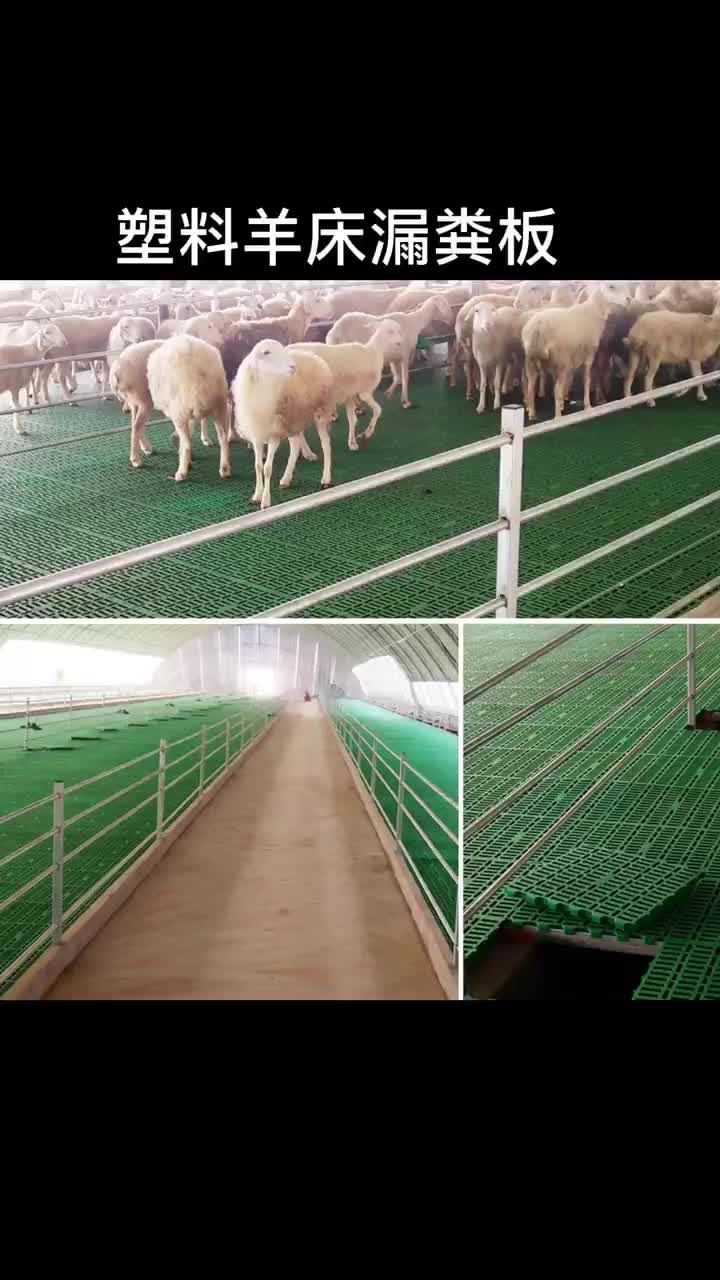 新疆塑料羊床漏粪板质量好