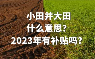 下载视频: 小田并大田什么意思？2023年有补贴吗？