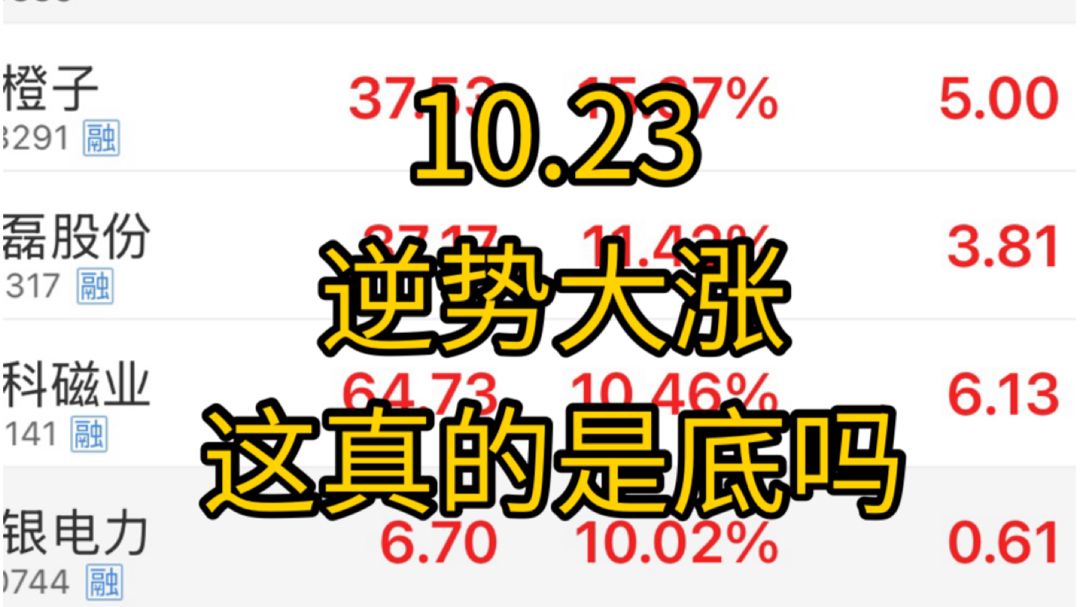 创业板指数反弹7%！机器人领涨全市场！汪汪队出手了，逆势爆买4000亿！近5000家上涨？这里真的是见底了吗？如何判断这里是底部！