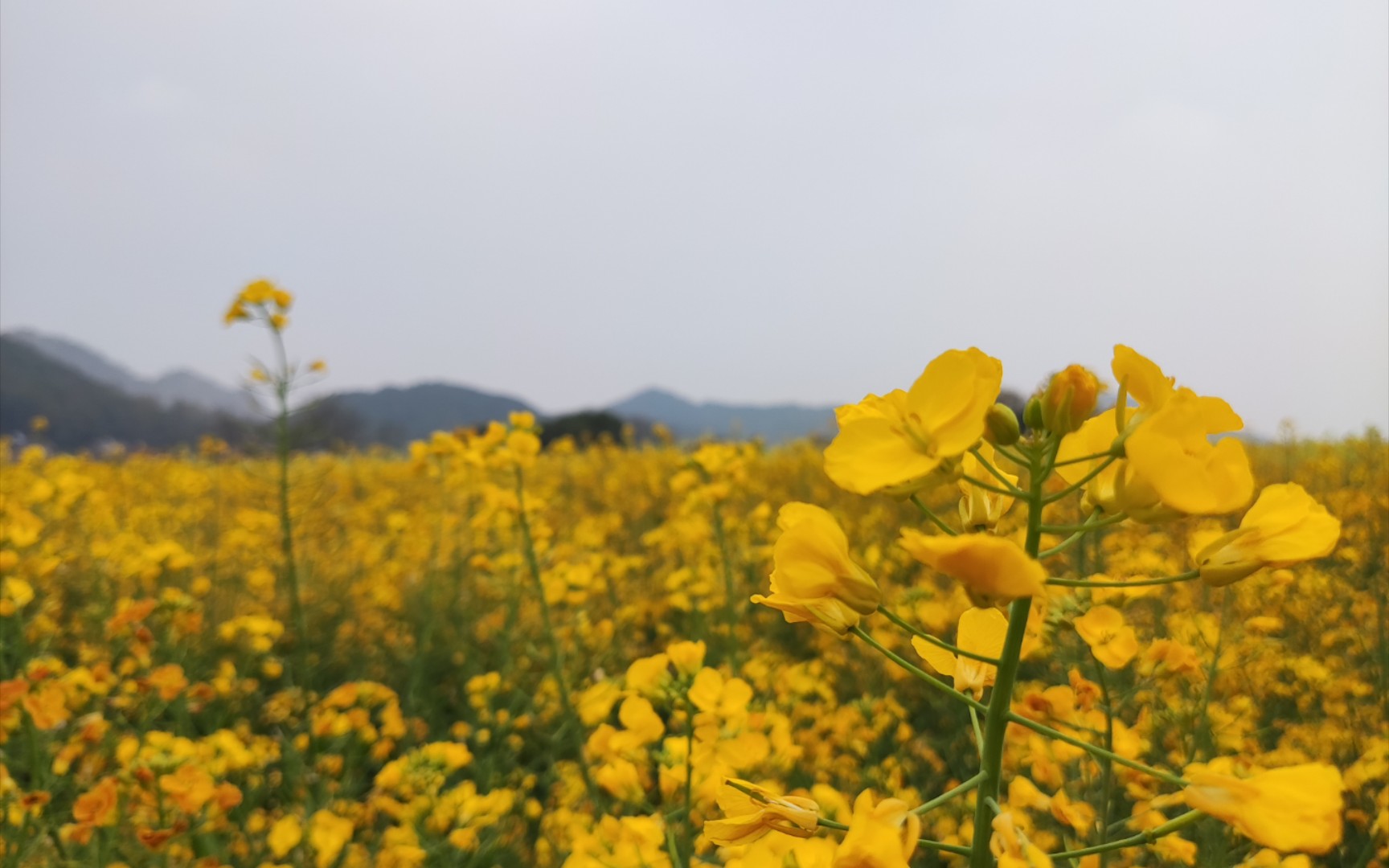 红米k40 4k30帧还行