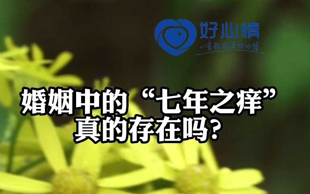 婚姻中的“七年之痒”真的存在吗?哔哩哔哩bilibili