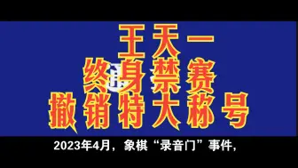 Download Video: 王天一、王跃飞终身禁赛 撤销特级大师称号