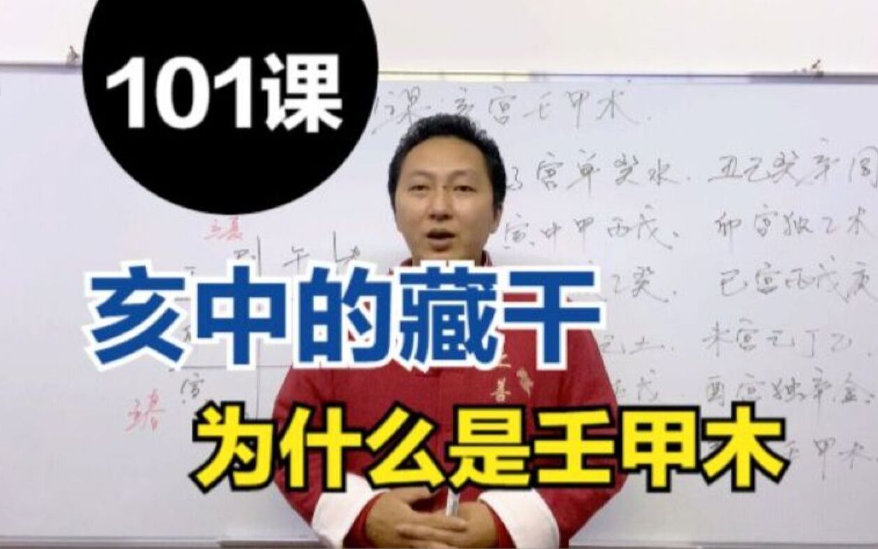 亥中的藏干为什么是壬甲木,地支藏干的由来,十二地支藏干详解,张洋八字算命视频教程第101课哔哩哔哩bilibili