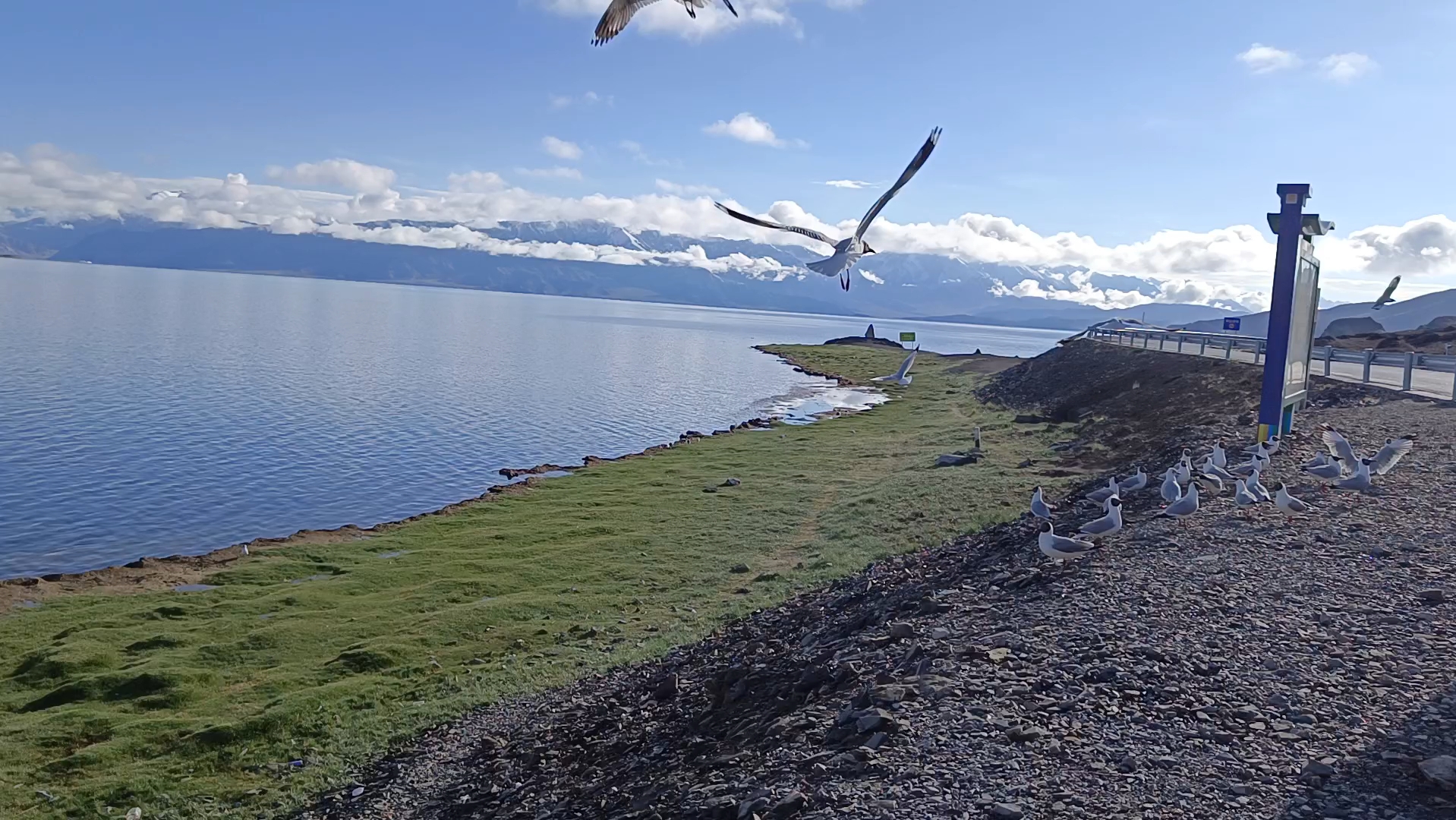 位于西藏阿里地区日土县的班公湖,湖光山色交相辉映,碧水蓝天,白鸟