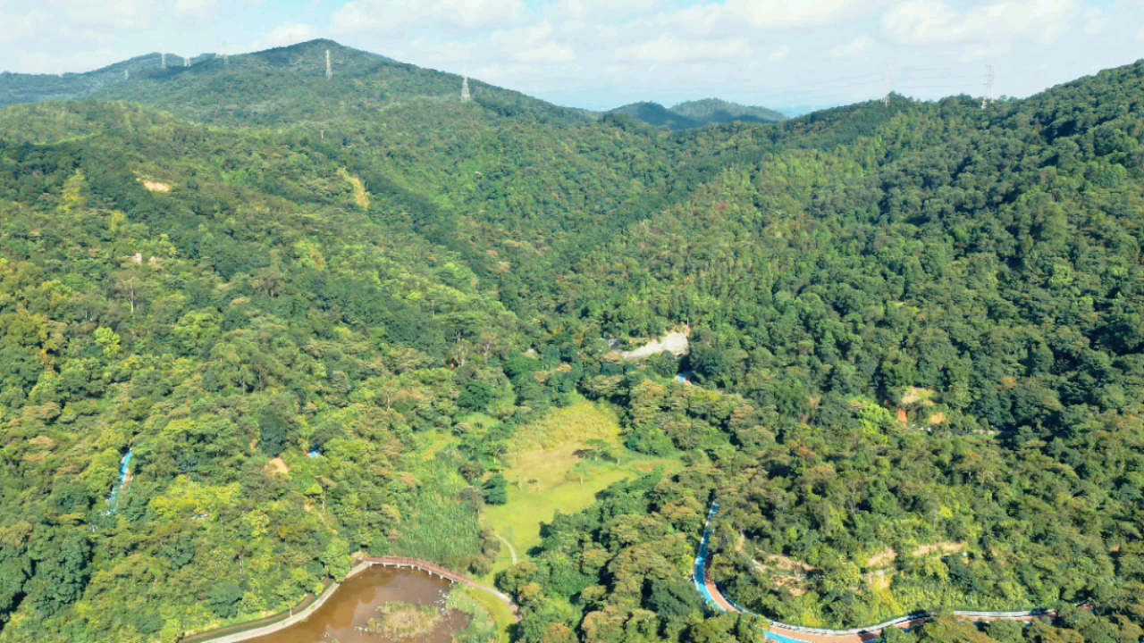 群星公园里的大西坑