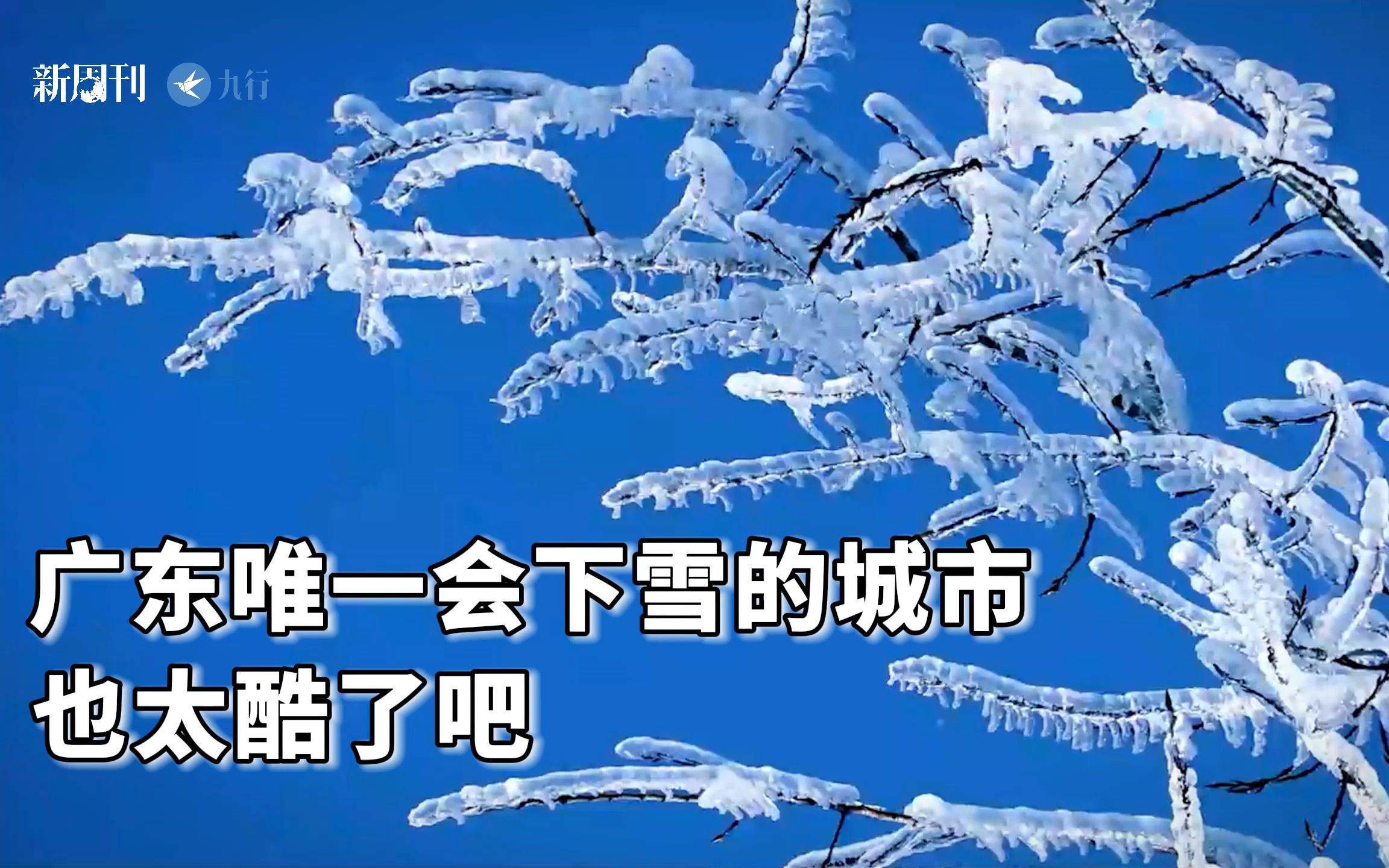 广东唯一会下雪的城市,也太酷了吧哔哩哔哩bilibili