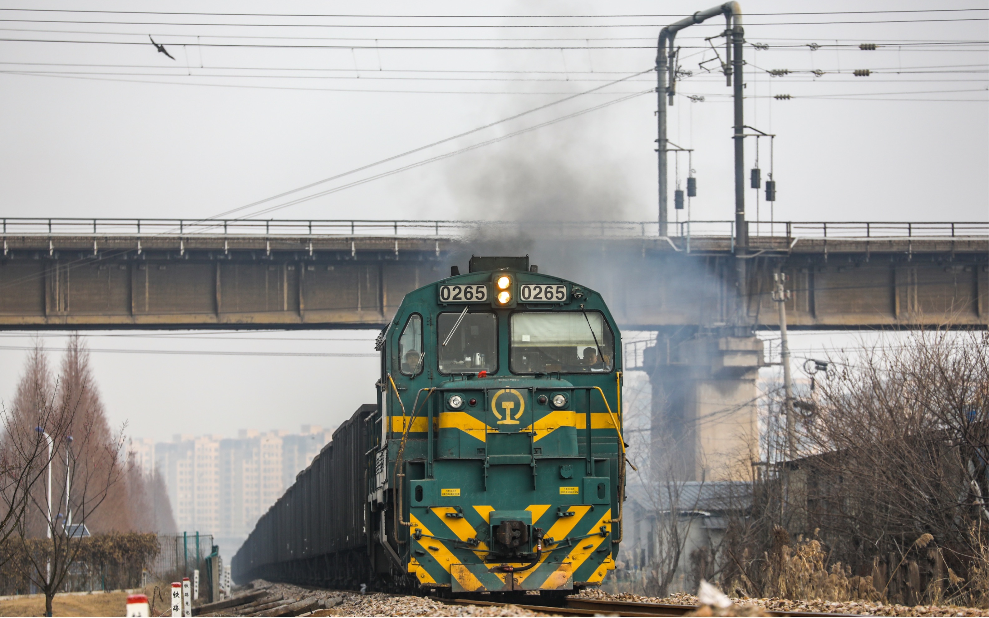 【抹黑向】上局宁东段nd50265牵引大列下浦梅