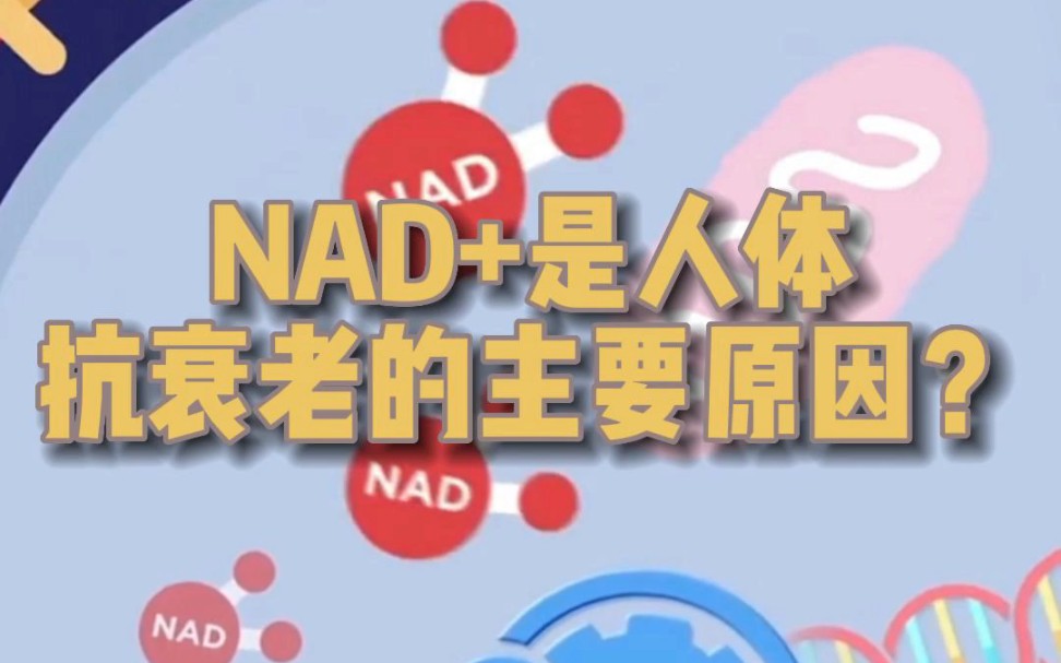 NAD+是什么?哔哩哔哩bilibili