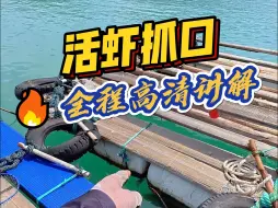 Download Video: 活虾海筏钓腊鱼抓口实战详解（全程高清）