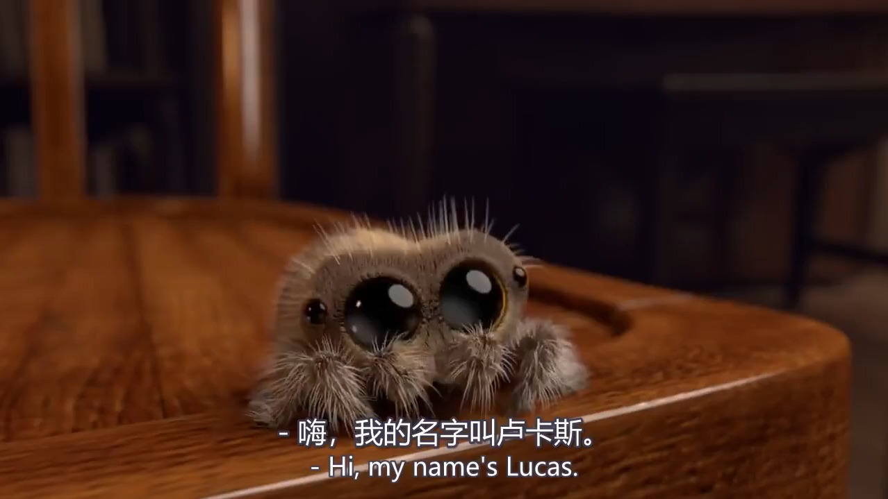 lucas小兔子图片