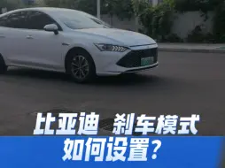 Download Video: 比亚迪的刹车模式，应该怎么设置？