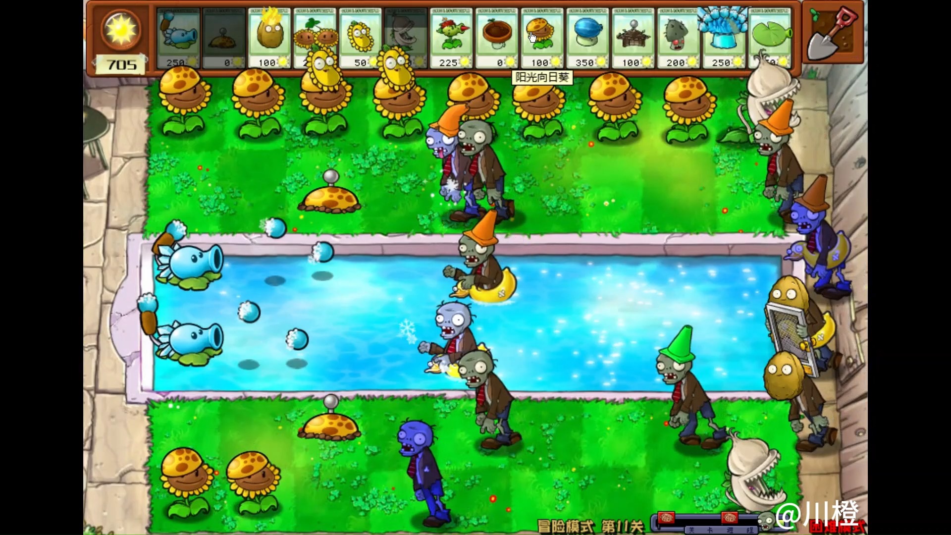 植物大战僵尸杂交版第11关(困难)