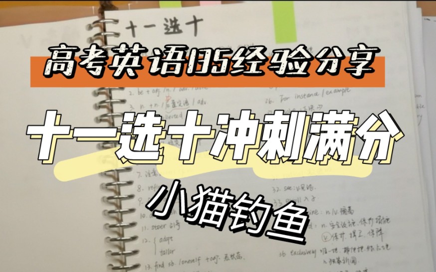 上海高考英语135十一选十满分攻略|高考前最后冲刺|十一选十技巧?如何积累?怎么利用错题?|小猫钓鱼冲冲冲哔哩哔哩bilibili