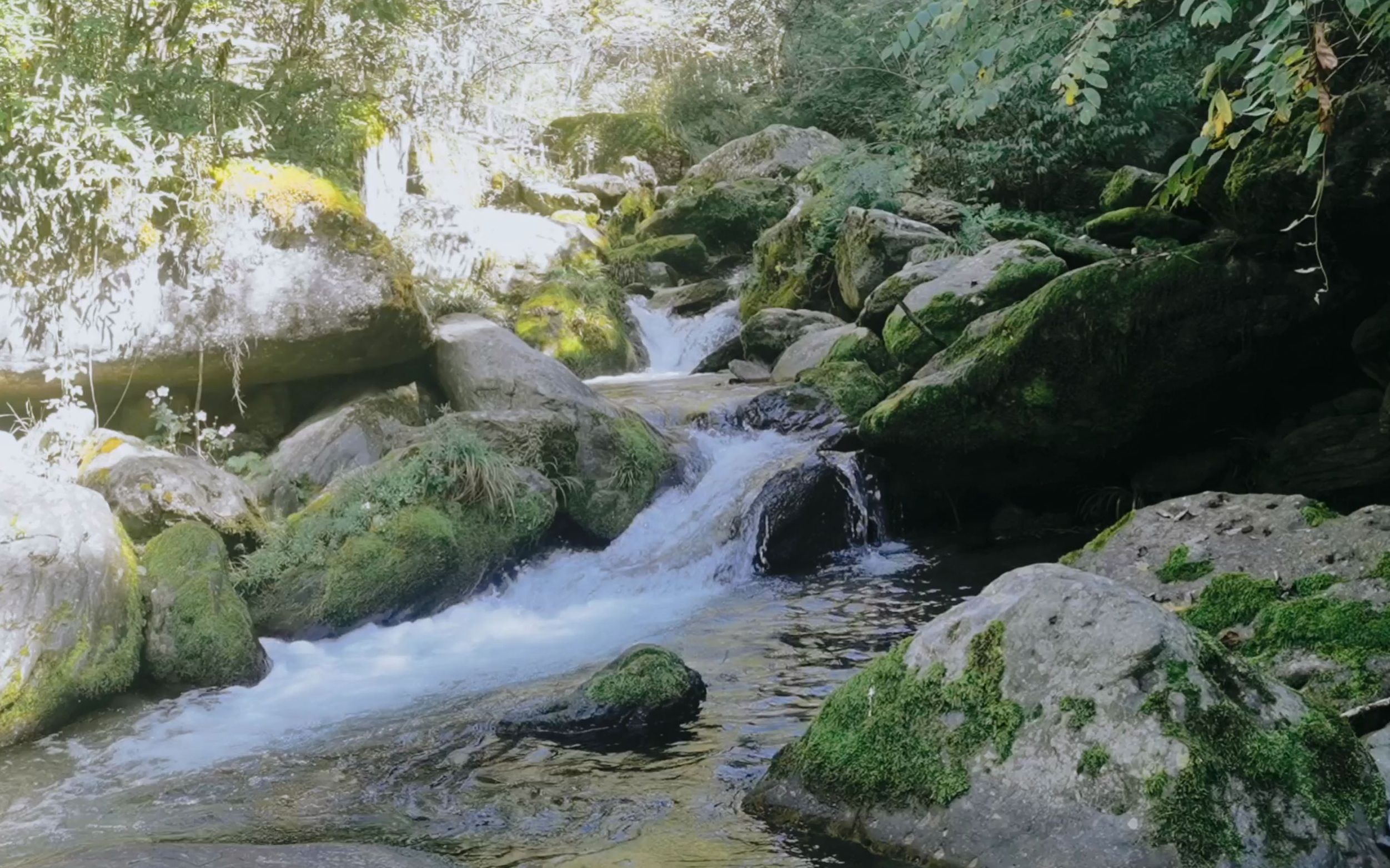 神农架的高山彩虹谷日记20201001