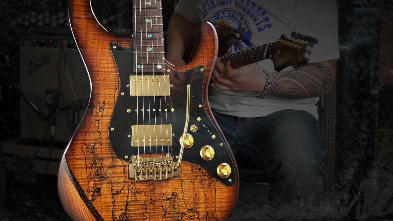 srv神曲lennyfreedomcustomguitarresearch