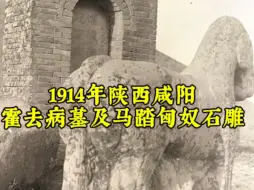 下载视频: 1914年3月6日法国汉学家谢阁兰对陕西兴平县霍去病墓进行了实地考察。“马踏匈奴”石雕不仅体现了霍去病抗击匈奴的赫赫战功，也展示了西汉时期石雕艺术的高超水平。