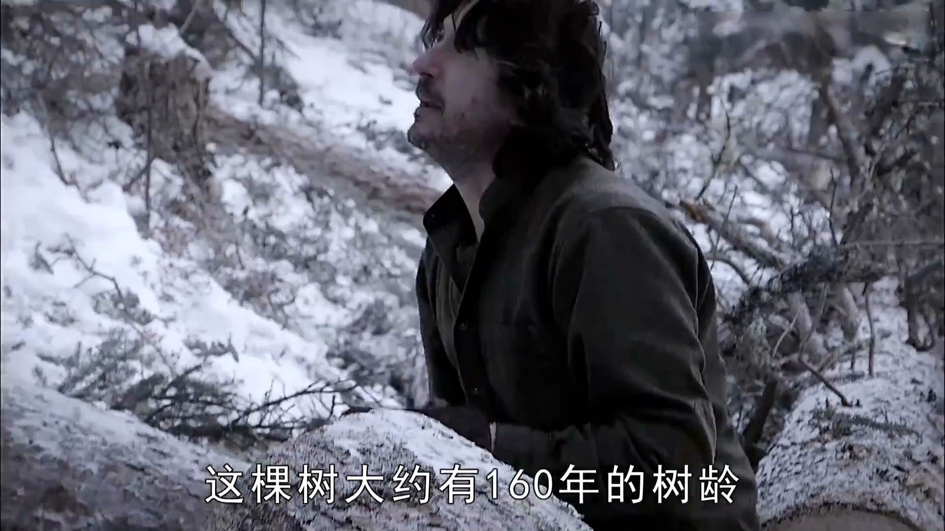 (28)零度以下的生活