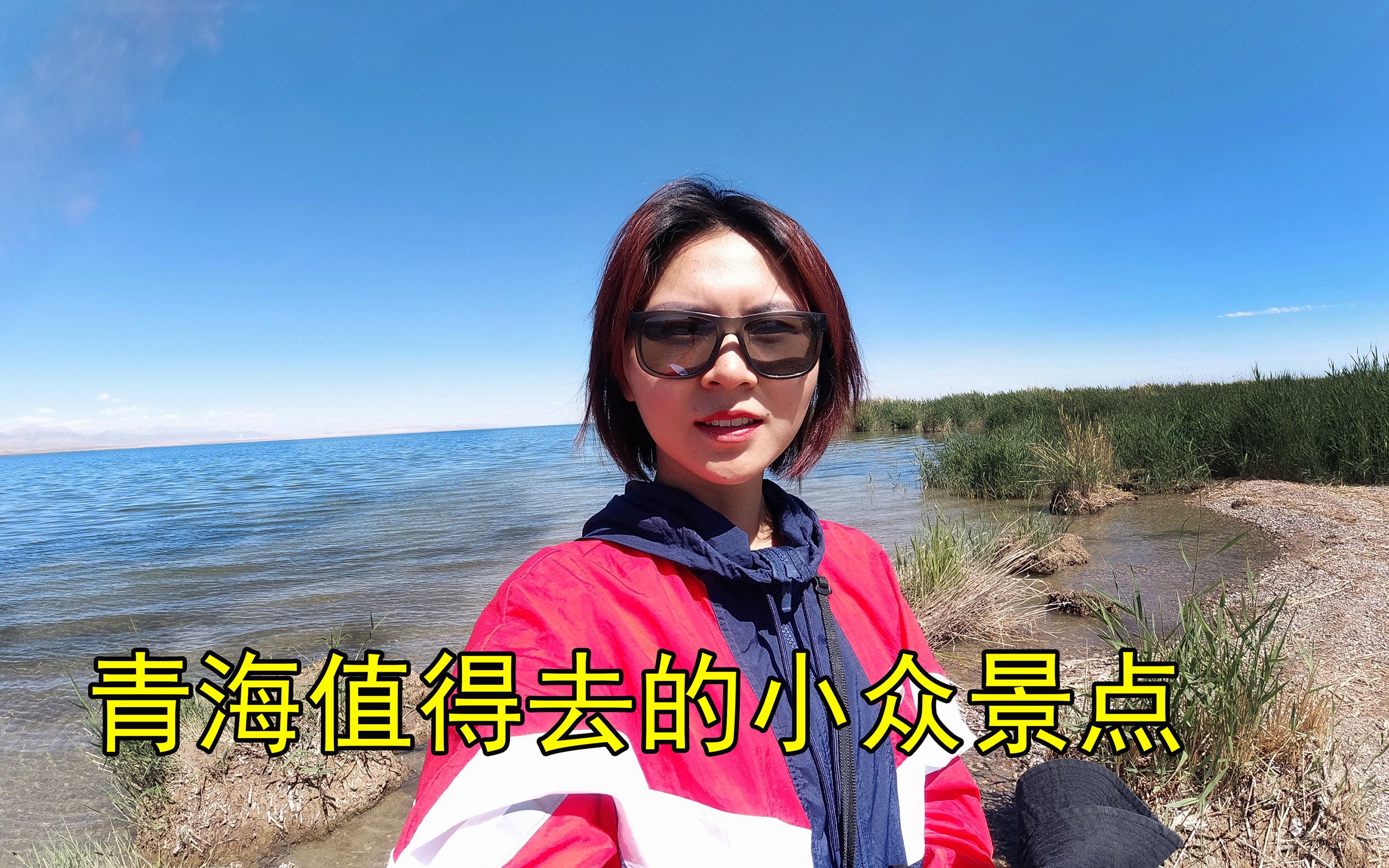 青海可鲁克湖生态湿地太美了,水鸟野鸭成群哔哩哔哩bilibili