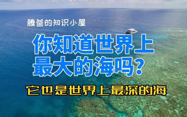 你知道世界上最大的海吗?哔哩哔哩bilibili