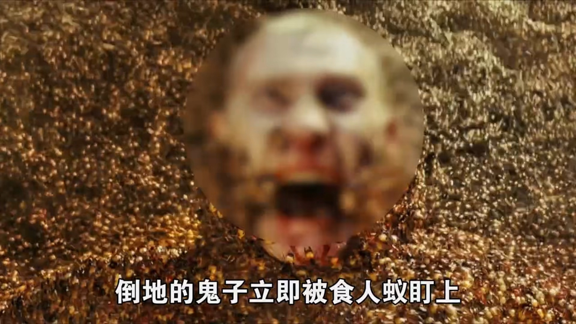 食人蚁惊悚恐怖