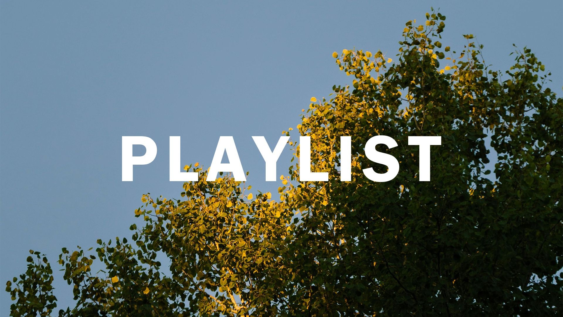 【Playlist】纯音乐 | "静默，却熠熠生辉" | 适合复习 散步 放松 发呆 阅读背景音乐 | 轻音乐循环歌单 | 钢琴曲