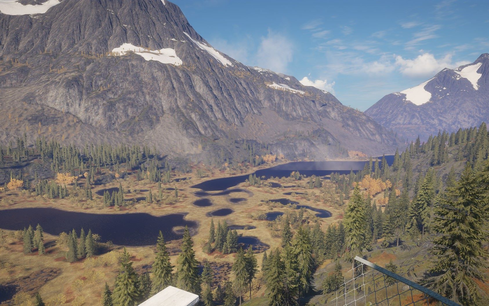 莱顿湖区打鸭子_攻略