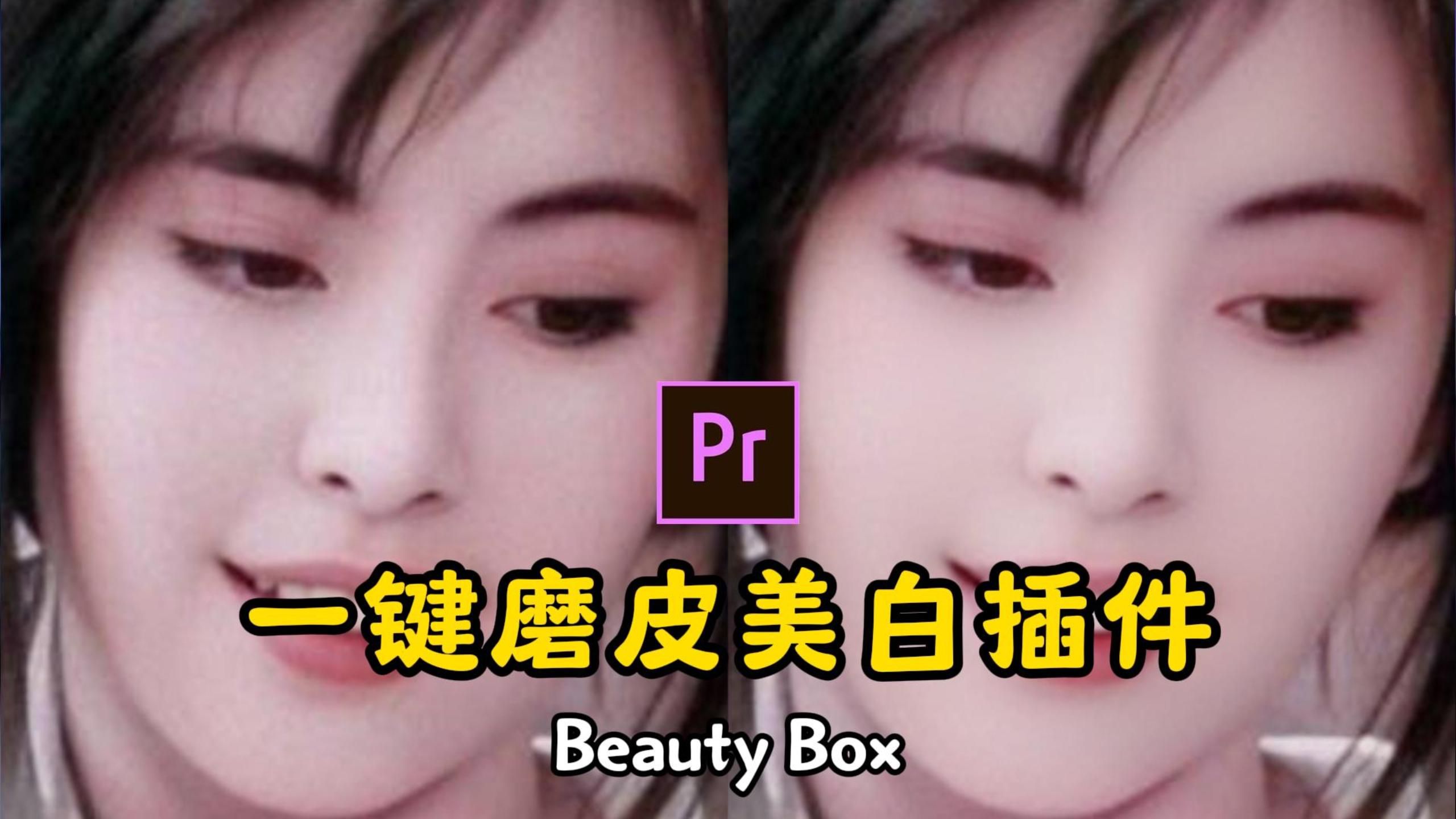 2024年3月最新版pr一键磨皮插件beauty box汉化版,一键安装