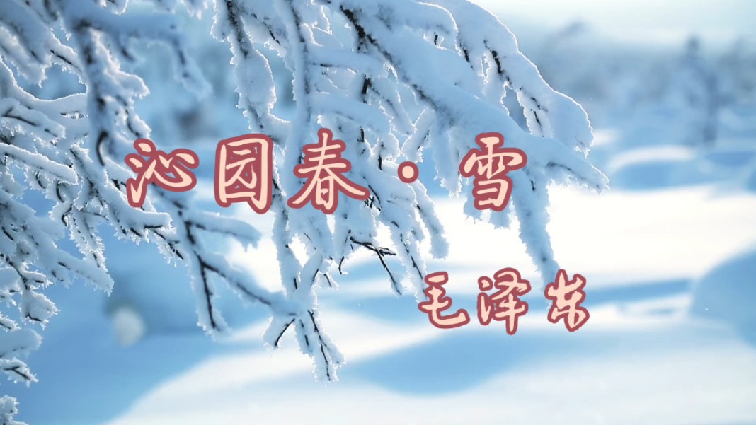 诗歌朗诵|沁园春ⷮŠ雪哔哩哔哩bilibili