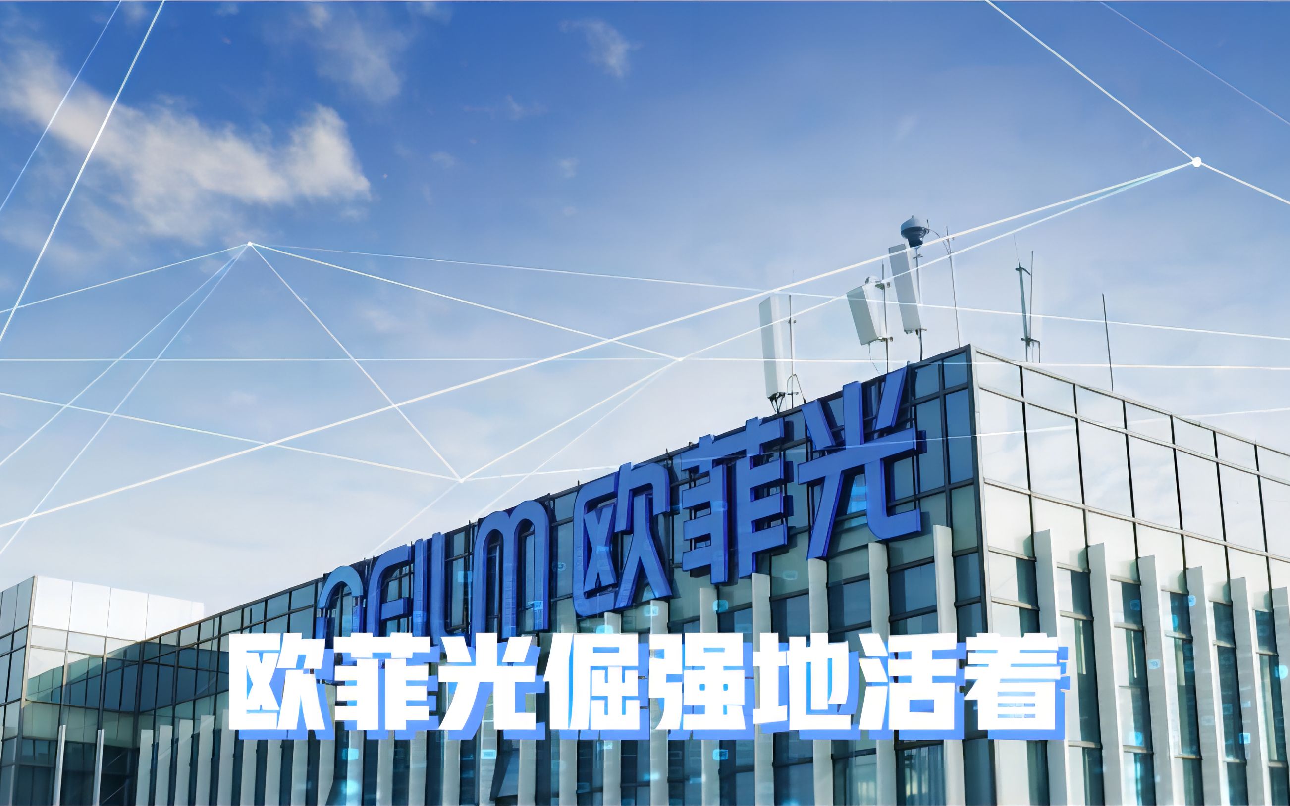 欧菲光倔强地活着!