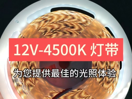 低压 4500K 灯带哔哩哔哩bilibili