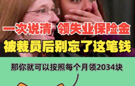 一次性说清 领取失业保险金 一定要收藏!被裁员后别忘了这笔钱! 希望你用不到,但你得知道!哔哩哔哩bilibili