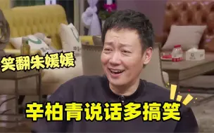 Download Video: 辛柏青谈李乃文开口就是段子，朱媛媛乐坏了！辛柏青说话多搞笑