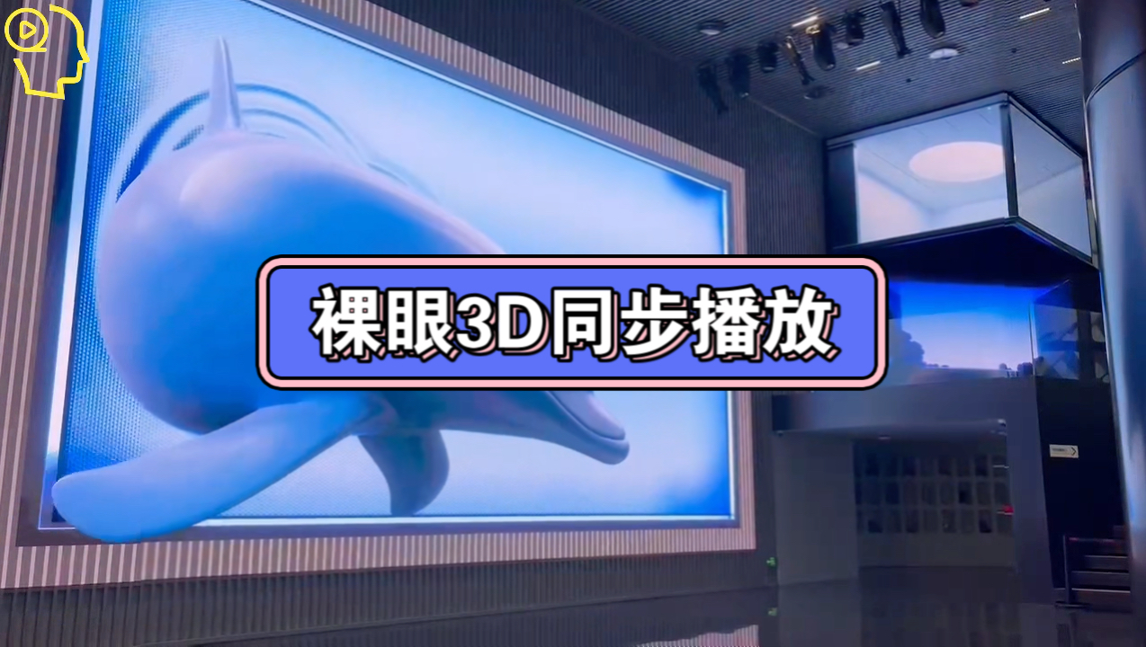 视频同步播放、多媒体展厅应用,裸眼3D效果哔哩哔哩bilibili