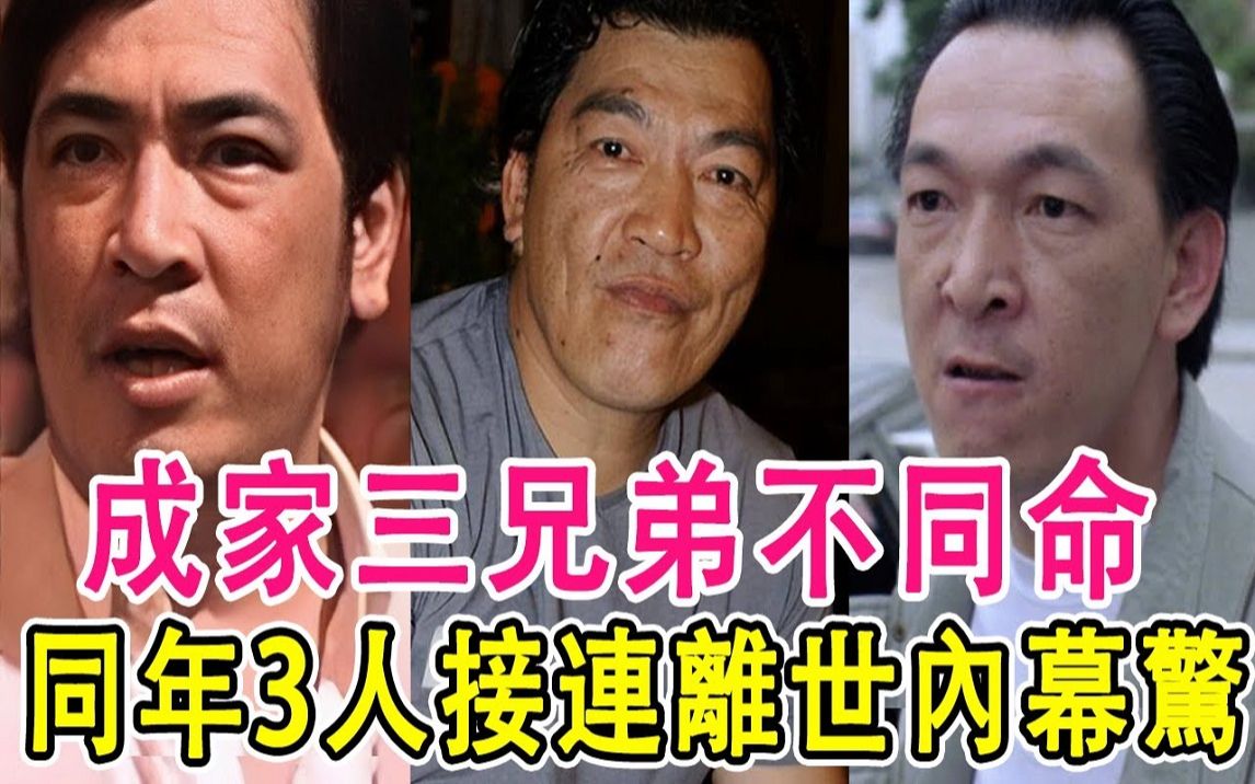 成奎安弟弟墓地被毁,成家三兄弟不同命! 1个被病痛折磨而死,1个三妻四妾无人养老哔哩哔哩bilibili