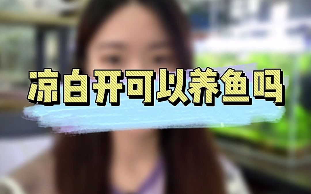 可以用 凉白开水 养鱼么?哔哩哔哩bilibili