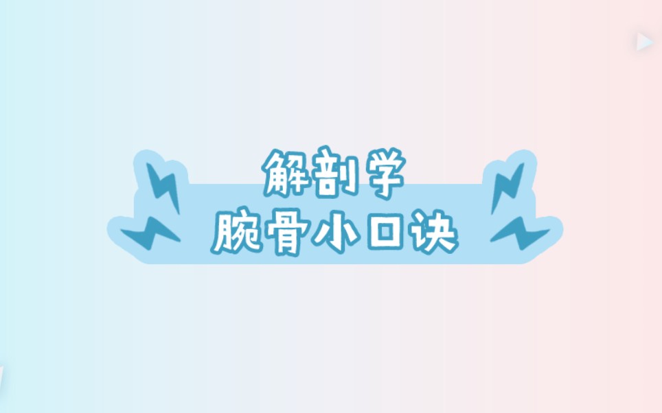 解剖学——手骨——腕骨小口诀