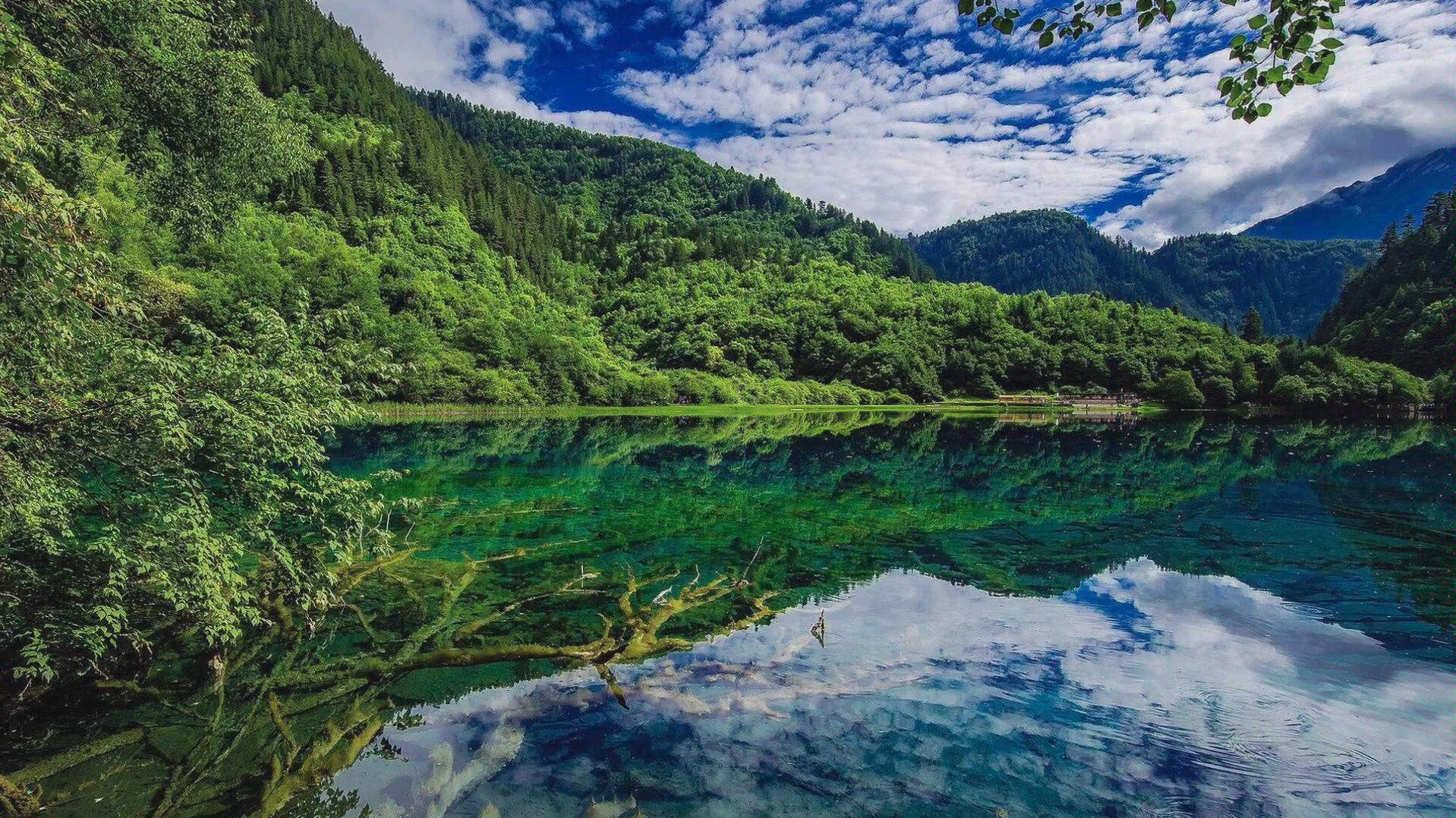 风景美如画_哔哩哔哩_bilibili