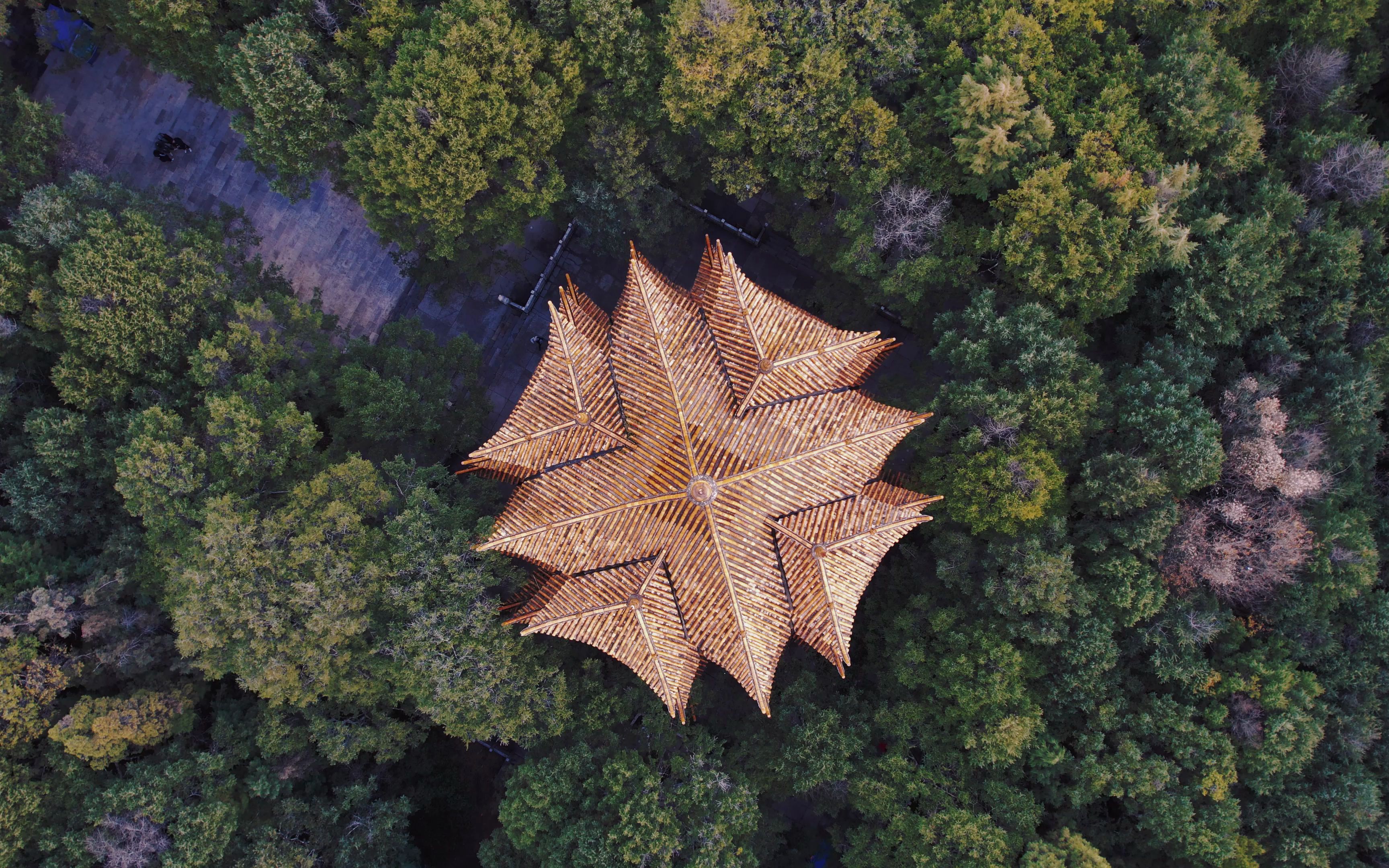 [图]昆明金殿风景名胜区的春天来了，我们一起去城市森林氧吧里洗洗肺！