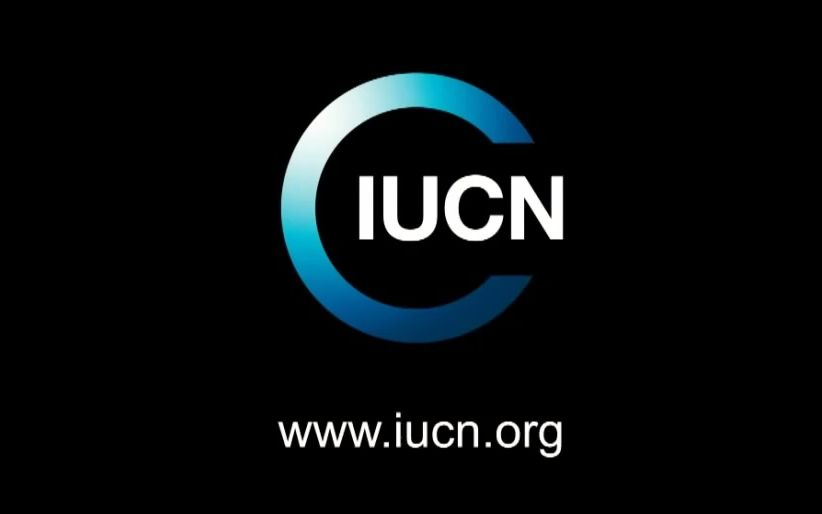 什么是IUCN(世界自然保护联盟)?哔哩哔哩bilibili