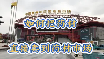 Descargar video: 如何把药材直接卖到药材市场？实际上很简单，建议看完收藏起来