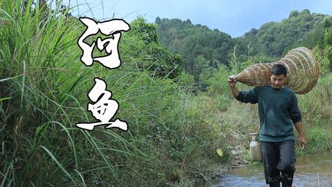乡村鱼篓装的野生小河鱼,运气真好收获满满的,吃着太过瘾了