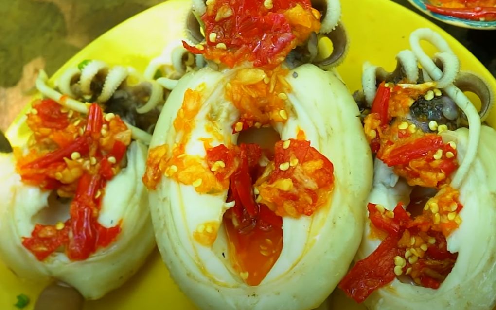 用青椰子煮鱿鱼吃起来很好吃_哔哩哔哩_bilibili