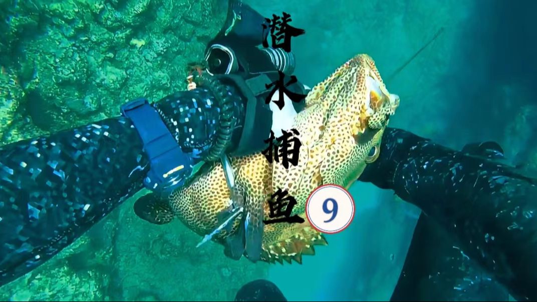 潜水捕鱼深夜睡眠视频第九集