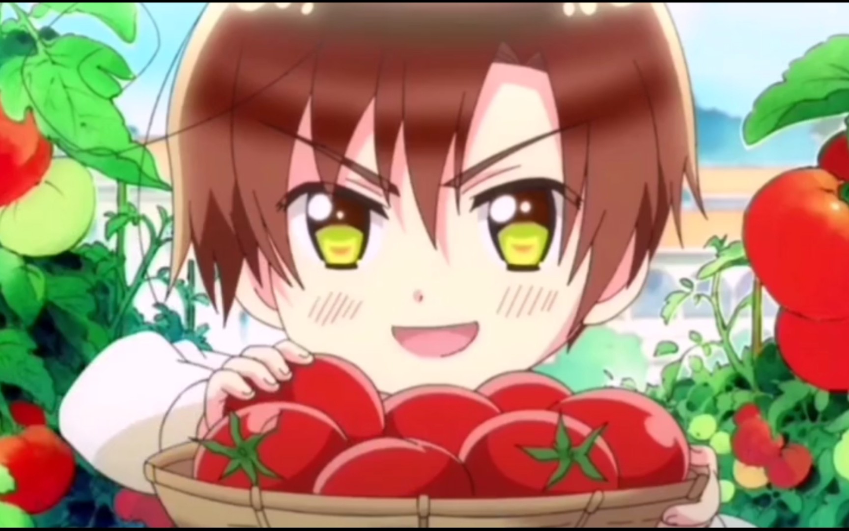 【罗维诺公式生贺预热】番茄歌进化史(2016.1至今)